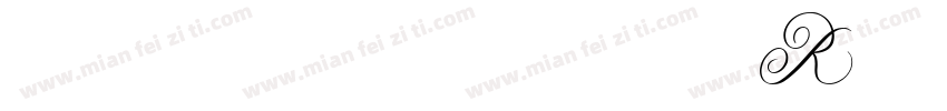 meituandidi R字体转换